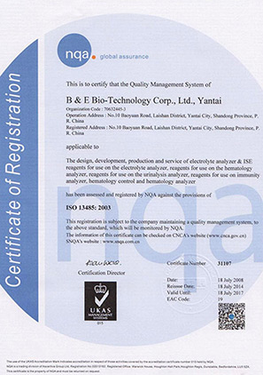 ISO13485-國(guó)際質(zhì)量體系認(rèn)證（英文）